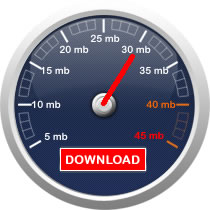 ABONAMENT PROFESIONAL (4mbs) - 41,60 RON