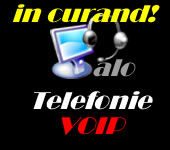 Servicii Voip